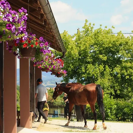 Farm Zevnik Hiša za goste