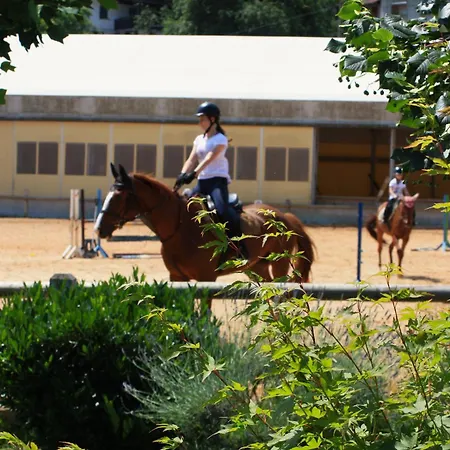 בית הארחה Farm Zevnik