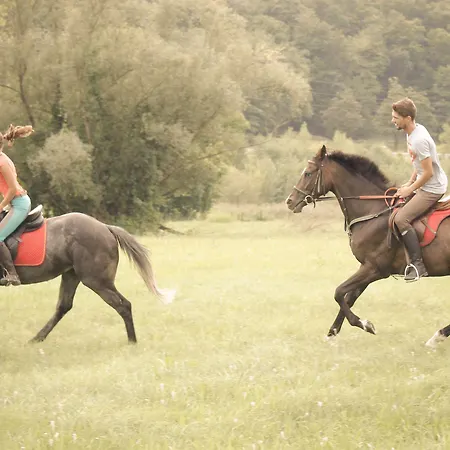 Farm Zevnik 3* ברז'יס