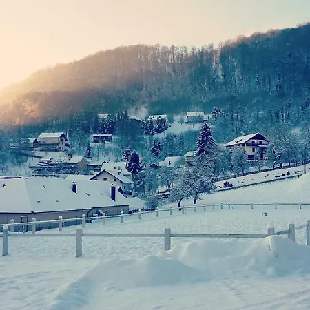 Farm Zevnik Hiša za goste
