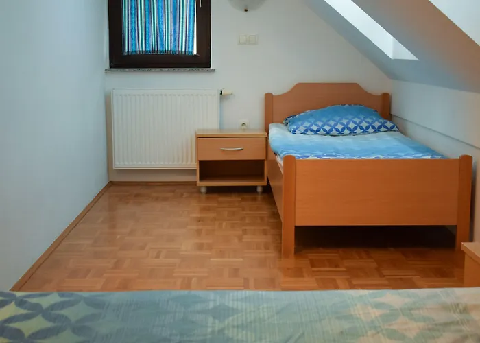 Gasthuis Farm Zevnik 3*