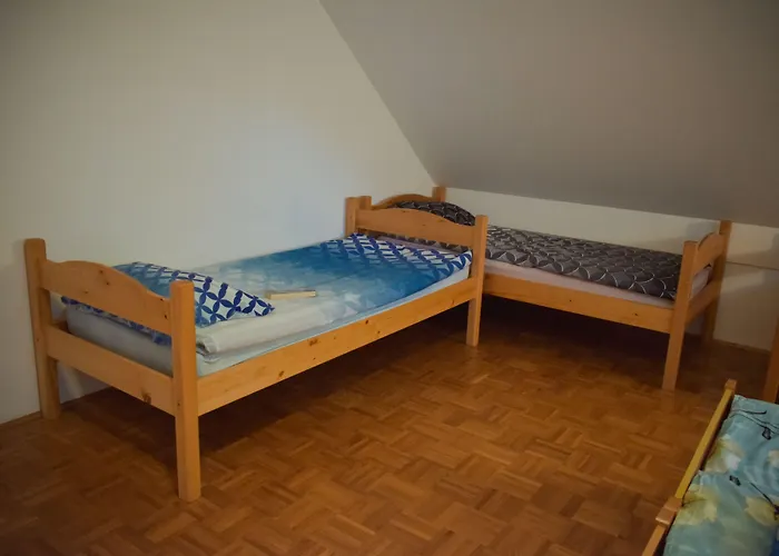 Gasthuis Farm Zevnik 3*