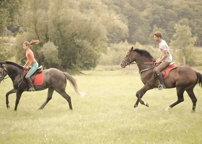 Farm Zevnik 3* Brežice