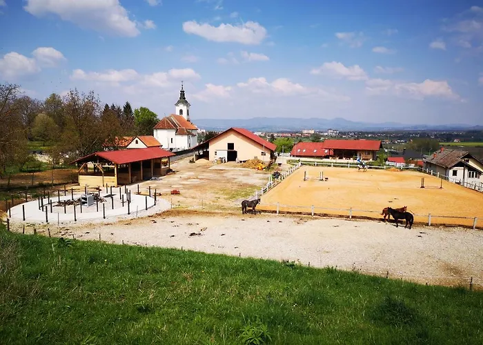 Farm Zevnik Gasthuis Brežice